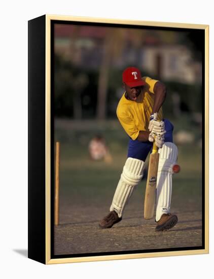 St. John's International Cricket Match, Antigua, Caribbean-Greg Johnston-Framed Premier Image Canvas