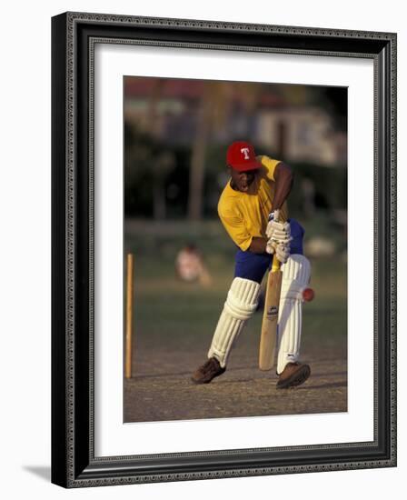 St. John's International Cricket Match, Antigua, Caribbean-Greg Johnston-Framed Photographic Print