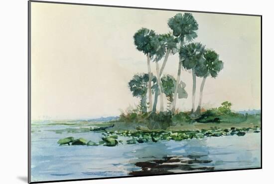 St. John's River, Florida, 1890-Winslow Homer-Mounted Giclee Print