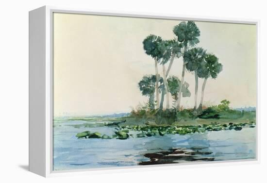 St. John's River, Florida, 1890-Winslow Homer-Framed Premier Image Canvas