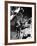 St. John's University Player Ivor Sumner Making a Lay-up Basket Through a "Keaney Ring"-Gjon Mili-Framed Photographic Print