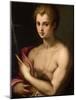 St. John the Baptist, C.1570-Michele Di Ridolfo Tosini-Mounted Giclee Print