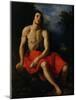 St. John the Baptist in the Desert-Cristofano Allori-Mounted Giclee Print