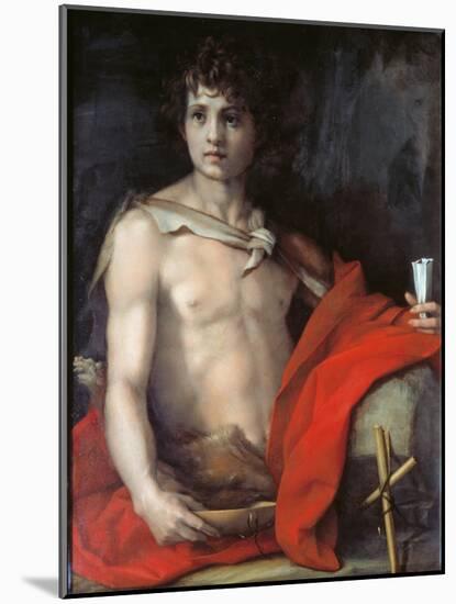 St John the Baptist-Andrea del Sarto-Mounted Giclee Print