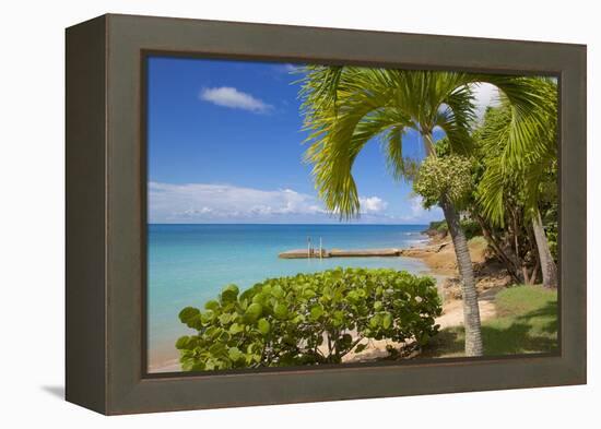 St. Johns, Antigua, Leeward Islands, West Indies, Caribbean, Central America-Frank Fell-Framed Premier Image Canvas