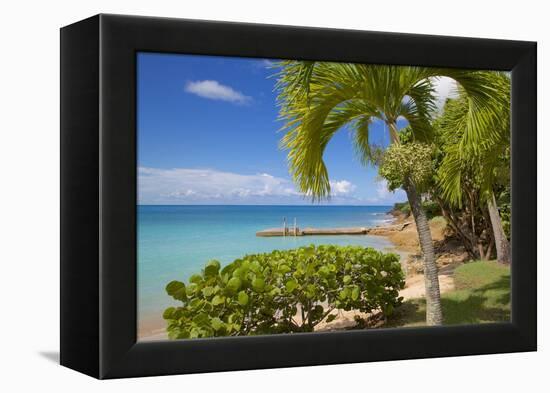 St. Johns, Antigua, Leeward Islands, West Indies, Caribbean, Central America-Frank Fell-Framed Premier Image Canvas
