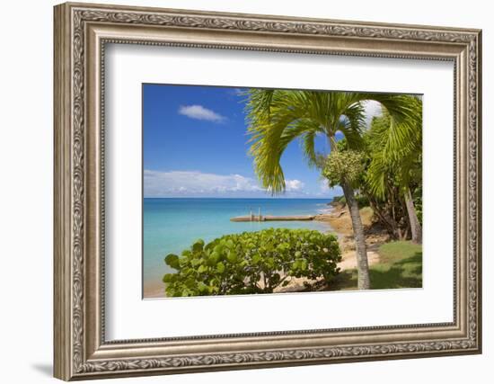 St. Johns, Antigua, Leeward Islands, West Indies, Caribbean, Central America-Frank Fell-Framed Photographic Print