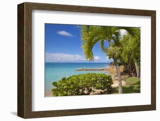 St. Johns, Antigua, Leeward Islands, West Indies, Caribbean, Central America-Frank Fell-Framed Photographic Print