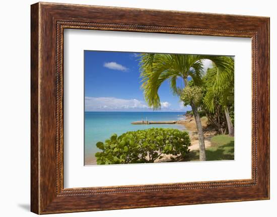 St. Johns, Antigua, Leeward Islands, West Indies, Caribbean, Central America-Frank Fell-Framed Photographic Print