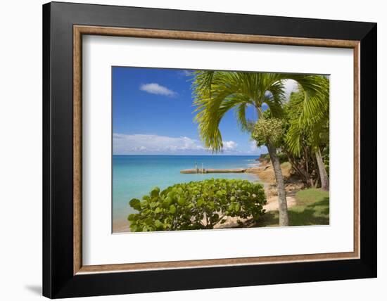 St. Johns, Antigua, Leeward Islands, West Indies, Caribbean, Central America-Frank Fell-Framed Photographic Print