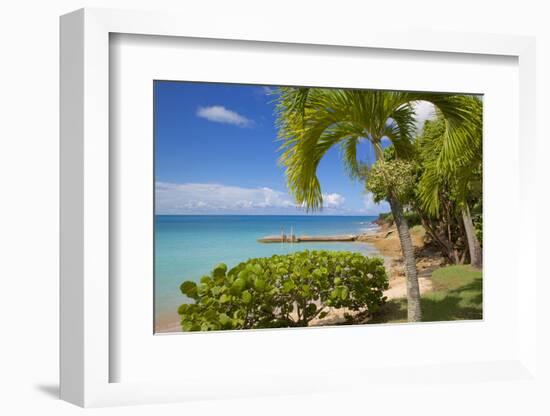 St. Johns, Antigua, Leeward Islands, West Indies, Caribbean, Central America-Frank Fell-Framed Photographic Print