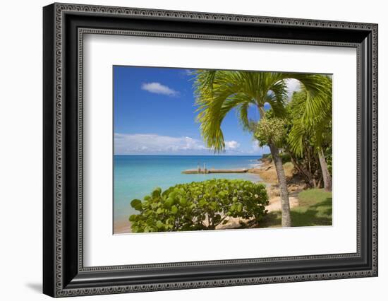 St. Johns, Antigua, Leeward Islands, West Indies, Caribbean, Central America-Frank Fell-Framed Photographic Print