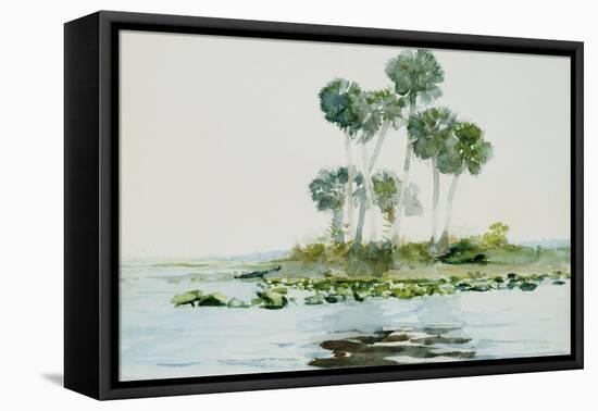 St. Johns River, Florida, 1890-Winslow Homer-Framed Premier Image Canvas