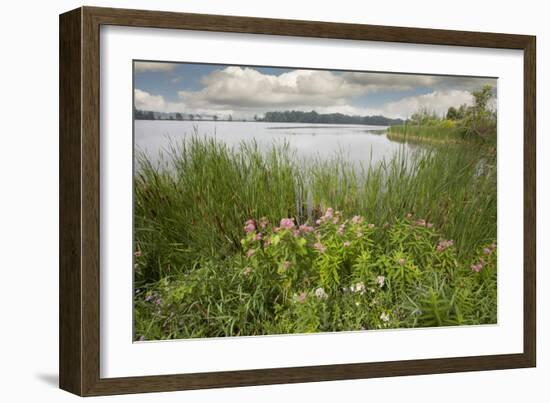 St. Joseph River #2, Centreville, Michigan ‘10-Monte Nagler-Framed Photographic Print