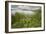 St. Joseph River #2, Centreville, Michigan ‘10-Monte Nagler-Framed Photographic Print