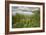 St. Joseph River #2, Centreville, Michigan ‘10-Monte Nagler-Framed Photographic Print