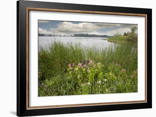 St. Joseph River #2, Centreville, Michigan ‘10-Monte Nagler-Framed Photographic Print