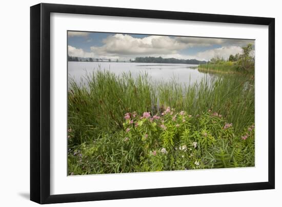 St. Joseph River #2, Centreville, Michigan ‘10-Monte Nagler-Framed Photographic Print