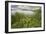 St. Joseph River #2, Centreville, Michigan ‘10-Monte Nagler-Framed Photographic Print