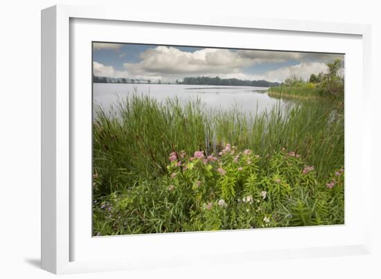 St. Joseph River #2, Centreville, Michigan ‘10-Monte Nagler-Framed Photographic Print