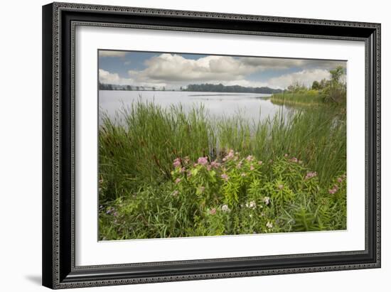 St. Joseph River #2, Centreville, Michigan ‘10-Monte Nagler-Framed Photographic Print