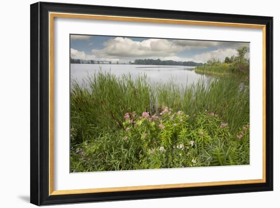 St. Joseph River #2, Centreville, Michigan ‘10-Monte Nagler-Framed Photographic Print