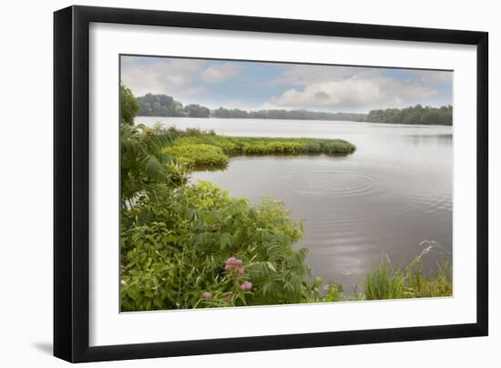 St. Joseph River, Centreville, Michigan ‘10-Monte Nagler-Framed Photographic Print