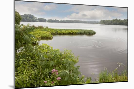 St. Joseph River, Centreville, Michigan ‘10-Monte Nagler-Mounted Photographic Print