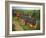 St. Joseph Vineyards, Ardeche, Rhone Alpes, France-Michael Busselle-Framed Photographic Print