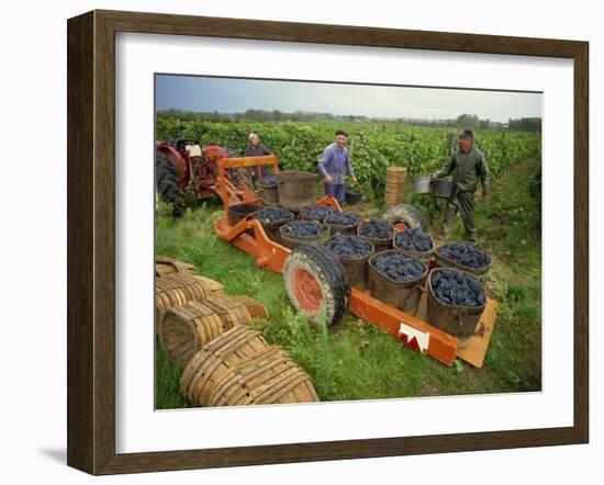 St. Joseph Vineyards, Ardeche, Rhone Alpes, France-Michael Busselle-Framed Photographic Print