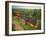 St. Joseph Vineyards, Ardeche, Rhone Alpes, France-Michael Busselle-Framed Photographic Print