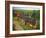 St. Joseph Vineyards, Ardeche, Rhone Alpes, France-Michael Busselle-Framed Photographic Print