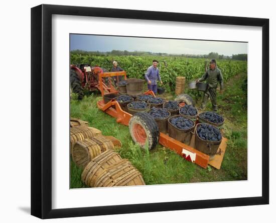 St. Joseph Vineyards, Ardeche, Rhone Alpes, France-Michael Busselle-Framed Photographic Print