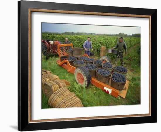 St. Joseph Vineyards, Ardeche, Rhone Alpes, France-Michael Busselle-Framed Photographic Print