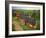 St. Joseph Vineyards, Ardeche, Rhone Alpes, France-Michael Busselle-Framed Photographic Print