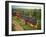 St. Joseph Vineyards, Ardeche, Rhone Alpes, France-Michael Busselle-Framed Photographic Print