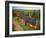 St. Joseph Vineyards, Ardeche, Rhone Alpes, France-Michael Busselle-Framed Photographic Print