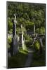 St Kevin's Church (Sometimes Called St Kevin's Kitchen), Glendalough, County Wicklow, Ireland-null-Mounted Photographic Print