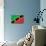 St. Kitts And Nevis Flag Design with Wood Patterning - Flags of the World Series-Philippe Hugonnard-Mounted Art Print displayed on a wall