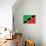 St. Kitts And Nevis Flag Design with Wood Patterning - Flags of the World Series-Philippe Hugonnard-Mounted Art Print displayed on a wall