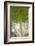 St. Kitts and Nevis, St. Kitts. Molineux, palm tree-Walter Bibikow-Framed Photographic Print