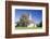 St. Leonhard Church, Froschhausen Near Murnau Am Staffelsee, Upper Bavaria, Bavaria, Germany-Markus Lange-Framed Photographic Print