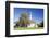 St. Leonhard Church, Froschhausen Near Murnau Am Staffelsee, Upper Bavaria, Bavaria, Germany-Markus Lange-Framed Photographic Print