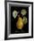 St. Lerain Pear-Mindy Sommers-Framed Giclee Print