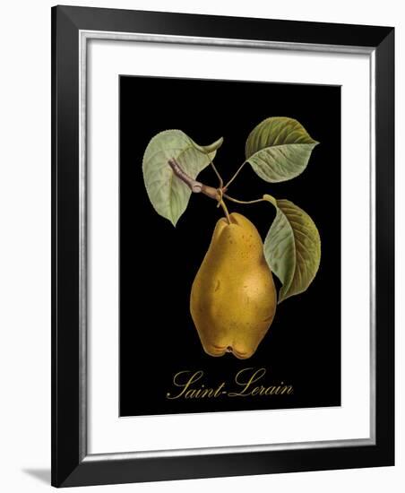 St. Lerain Pear-Mindy Sommers-Framed Giclee Print