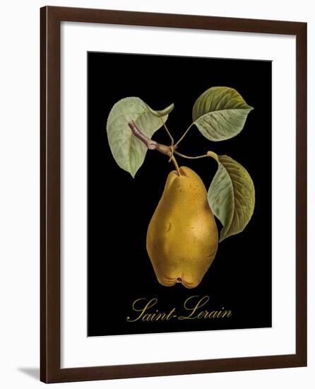 St. Lerain Pear-Mindy Sommers-Framed Giclee Print