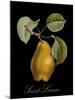 St. Lerain Pear-Mindy Sommers-Mounted Giclee Print