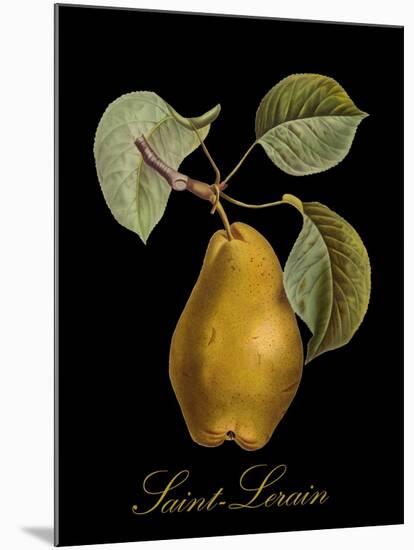 St. Lerain Pear-Mindy Sommers-Mounted Giclee Print