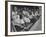 St. Louis Browns Players Sitting in the Dug Out During a Game-Peter Stackpole-Framed Premium Photographic Print