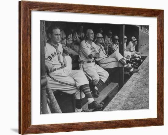 St. Louis Browns Players Sitting in the Dug Out During a Game-Peter Stackpole-Framed Premium Photographic Print